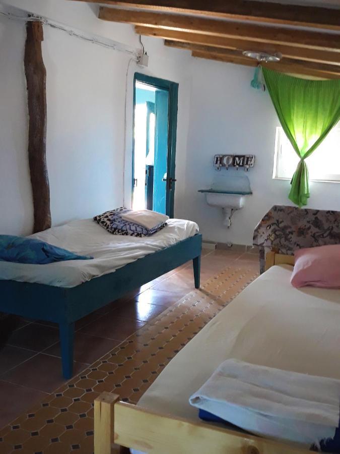 Danube Delta Hostel Homestay & Camping Sulina Esterno foto