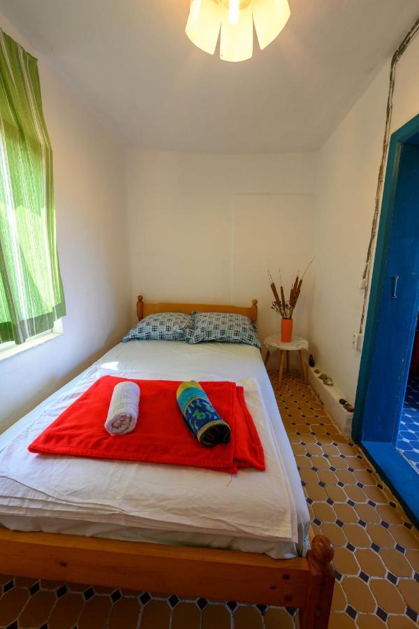 Danube Delta Hostel Homestay & Camping Sulina Esterno foto